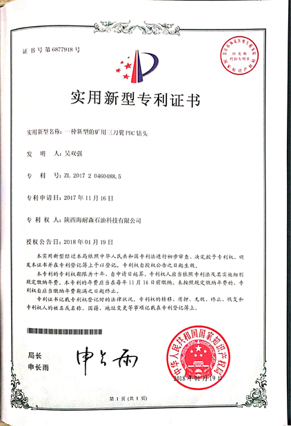 الصين Shaanxi Hainaisen Petroleum Technology Co.,Ltd الشهادات